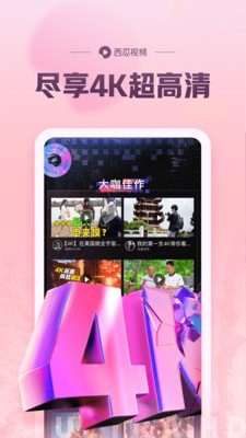 西瓜视频最新版